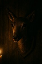 Vintage roe deer for sale  BLACKPOOL