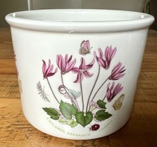 Portmeirion cyclamen repandum for sale  LLANGOLLEN