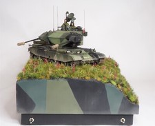 Build model diorama for sale  DARLINGTON