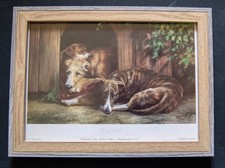 Dog tired greyhound for sale  SOWERBY BRIDGE