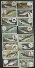 1924 ITC FISH & BAIT quase conjunto de 44/50 Imperial Tobacco Of Canada comprar usado  Enviando para Brazil