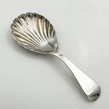 Shell caddy spoon for sale  SALISBURY