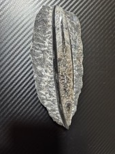 Fossil gebraucht kaufen  Frohburg