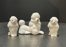 Three french poodle for sale  Mather