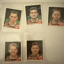Panini sticker bundesliga gebraucht kaufen  Cremlingen