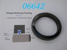 Cfw nutring stangendichtung gebraucht kaufen  Mehrstetten