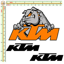 Sponsor moto dukektm usato  Roma