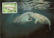 Wwf nagel manati gebraucht kaufen  Bad Zwischenahn