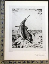 1933 florida sailfish for sale  Branch