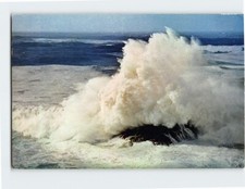 Cartolina mari della usato Cartolina mari della usato  Spedire a Italy