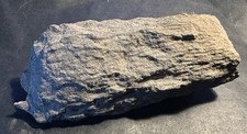 Versteinertes holz 680 gebraucht kaufen  Troisdorf