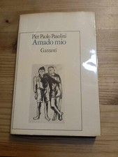 Amado mio pasolini usato  Civitanova Marche