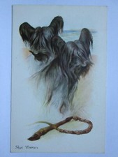 Skye terrier vintage for sale  WORKINGTON