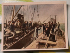 Sammelbild 238 mokri gebraucht kaufen  Neugersdorf