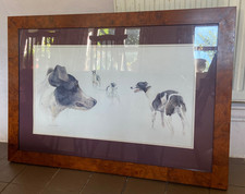 Virginia pope greyhound for sale  SOUTH BRENT