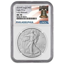 2025 american silver for sale  Concord