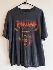 Vintage pantera cowboys for sale  Northridge