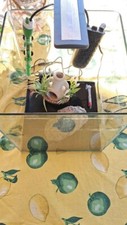 Acquario kit completo usato  Fiano Romano