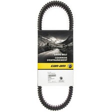 Can new oem d'occasion  Expédié en Belgium