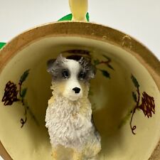 Australian shepherd teacup for sale  Vinton
