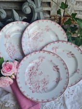 Anciennes assiettes plates d'occasion  Le Poinçonnet