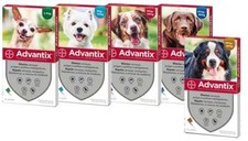 Advantix chien protection d'occasion  Expédié en France