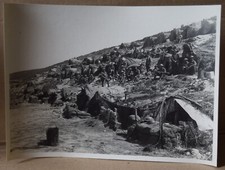 Ww1 press photo usato  Spedire a Italy