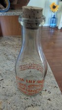 Vintage shasta lily for sale  Medford