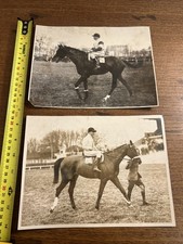 Vintage french horse for sale  BARNOLDSWICK