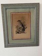 Tableau ancien oiseau d'occasion Tableau ancien oiseau d'occasion  Dijon