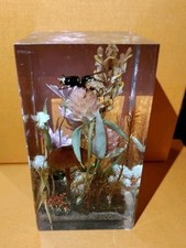 plastic terrarium rocks for sale plastic terrarium rocks for sale Phoenix