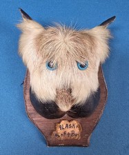 weird taxidermy for sale weird taxidermy for sale Anchorage