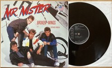Mister broken wings gebraucht kaufen  Oldenburg (Oldenburg)