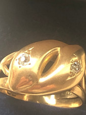 Yellow gold snake for sale  NEWCASTLE