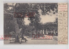 Siracusa giardino villa usato  Trieste
