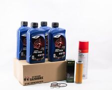 Kit entretien vidange d'occasion  Les Angles