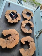 Hohle apfelbaum baumscheibe gebraucht kaufen  Deggendorf