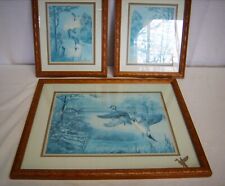 Woodland ducks prints for sale  Grand Rapids