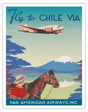 Fly chile vintage for sale  USA