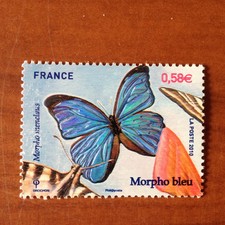 4498 papillon morpho d'occasion  Valence