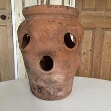 strawberry pot for sale strawberry pot for sale NOTTINGHAM