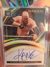Wwe kane immaculate d'occasion  Expédié en Belgium