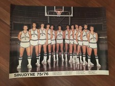 Manifesto poster sinudyne usato Manifesto poster sinudyne usato  San Lazzaro di Savena