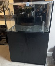 Redsea reef fish for sale  MAIDENHEAD