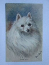Portrait pom pom for sale  WORKINGTON