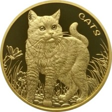 Goldmünze fiji cats gebraucht kaufen  Sandersdorf