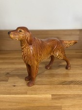 Dog irish red for sale  DONCASTER