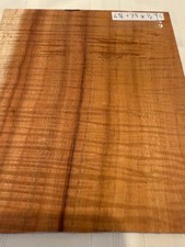 Exotic hawaiin curly for sale  Alpharetta