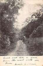 Cartão postal vintage Norwich Connecticut Lantern Hill Road vista panorâmica AA50456 comprar usado  Enviando para Brazil