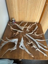 Driftwood x10 tree for sale  UK